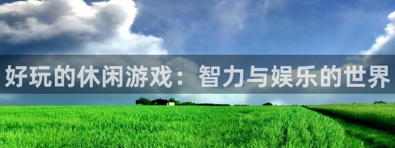 杏鑫咨询