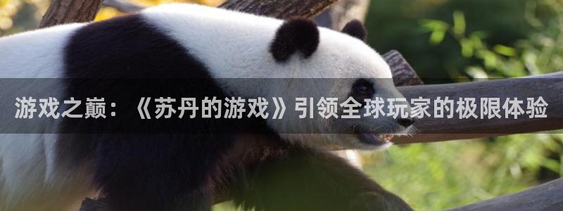 杏鑫手机客户端官网