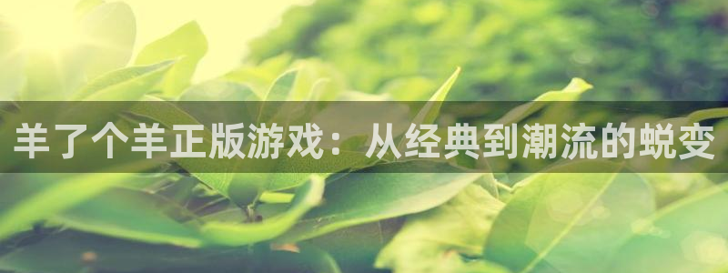 杏鑫官网：羊了个羊正版游戏：从经典到潮流的蜕变