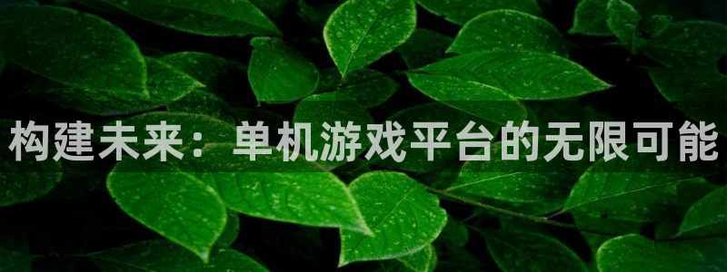 杏鑫注册登录地址：构建未来：单机游戏平台的无限可能