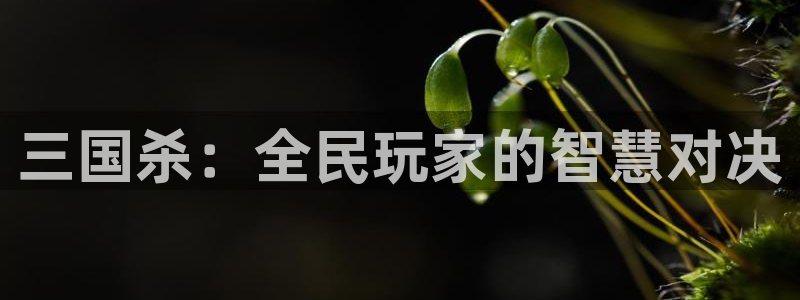 杏鑫官方app代理