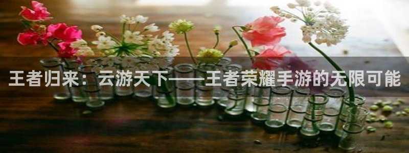 杏鑫注册平台官方网站入口查询