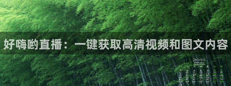 新闻图片