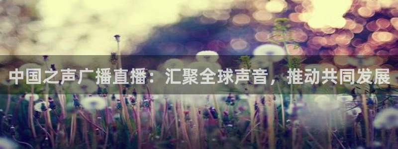 足球直播24直播网：中国之声广播直播：汇聚全球声音，推动共同发展