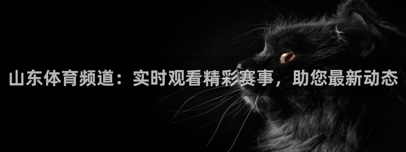 24直播网足球免费直播：山东体育频道：实时观看精彩赛事，助您最新动态