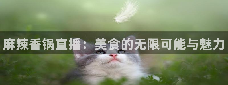 24直播免费足球直播178：麻辣香锅直播：美食的无限可能与魅力