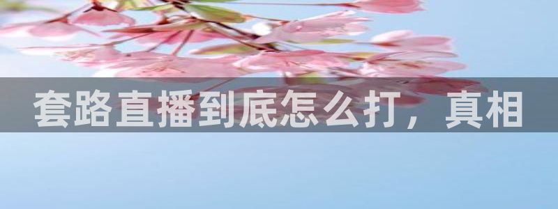 f12024直播五星体育直播回放：套路直播到底怎么打，真相